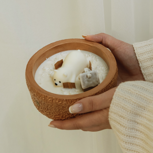 Little Polar Village