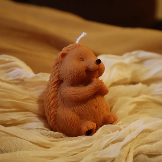 Little Hedgehog