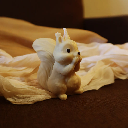 Cute Squirrel