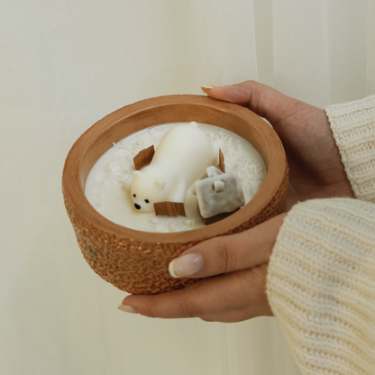 Little Polar Village