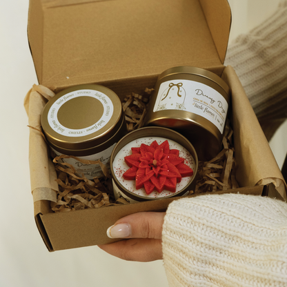 Box Pack Golden Poinsettia