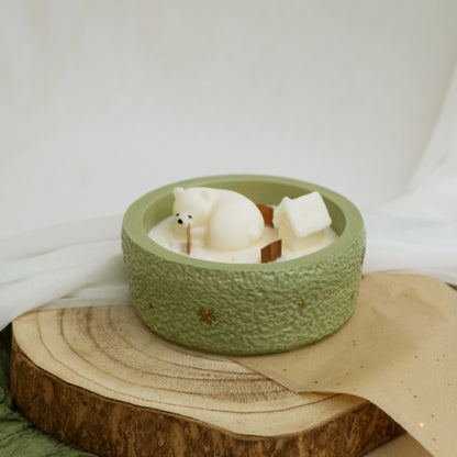 Little Polar Village