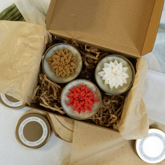 Box Pack Golden Poinsettia