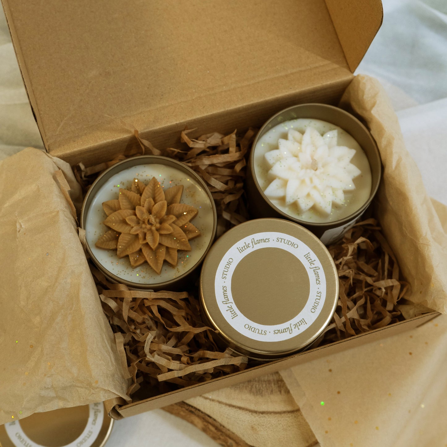 Box Pack Golden Poinsettia