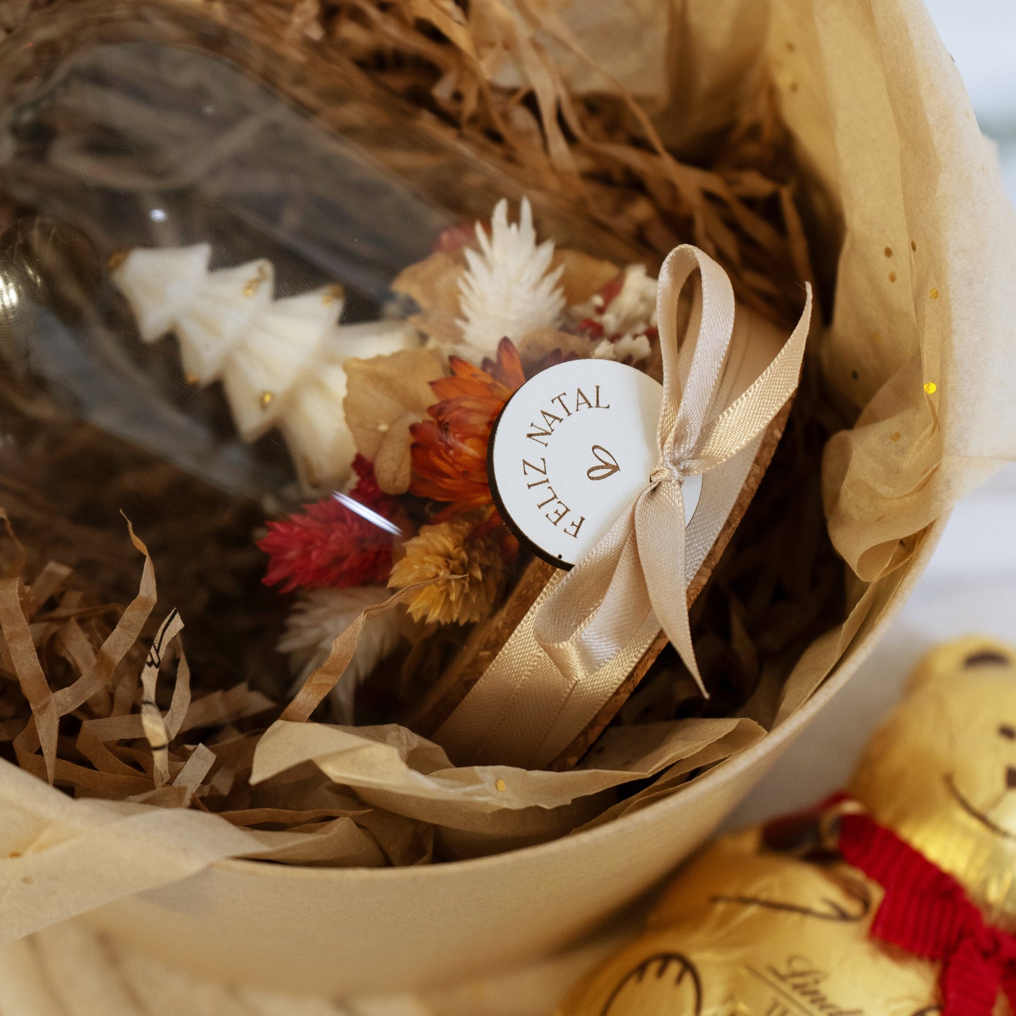 Box Enchanted Forest & Chocolate Bear