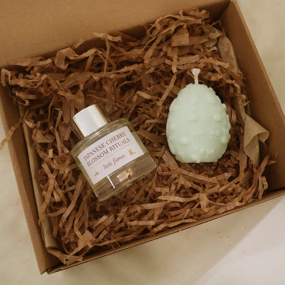 Box Blooming Reed Diffuser & Mini Bloom Egg