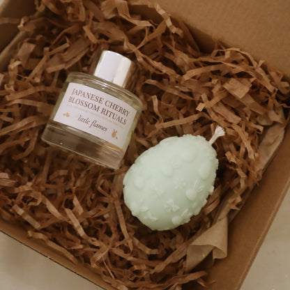 Box Blooming Reed Diffuser & Mini Bloom Egg