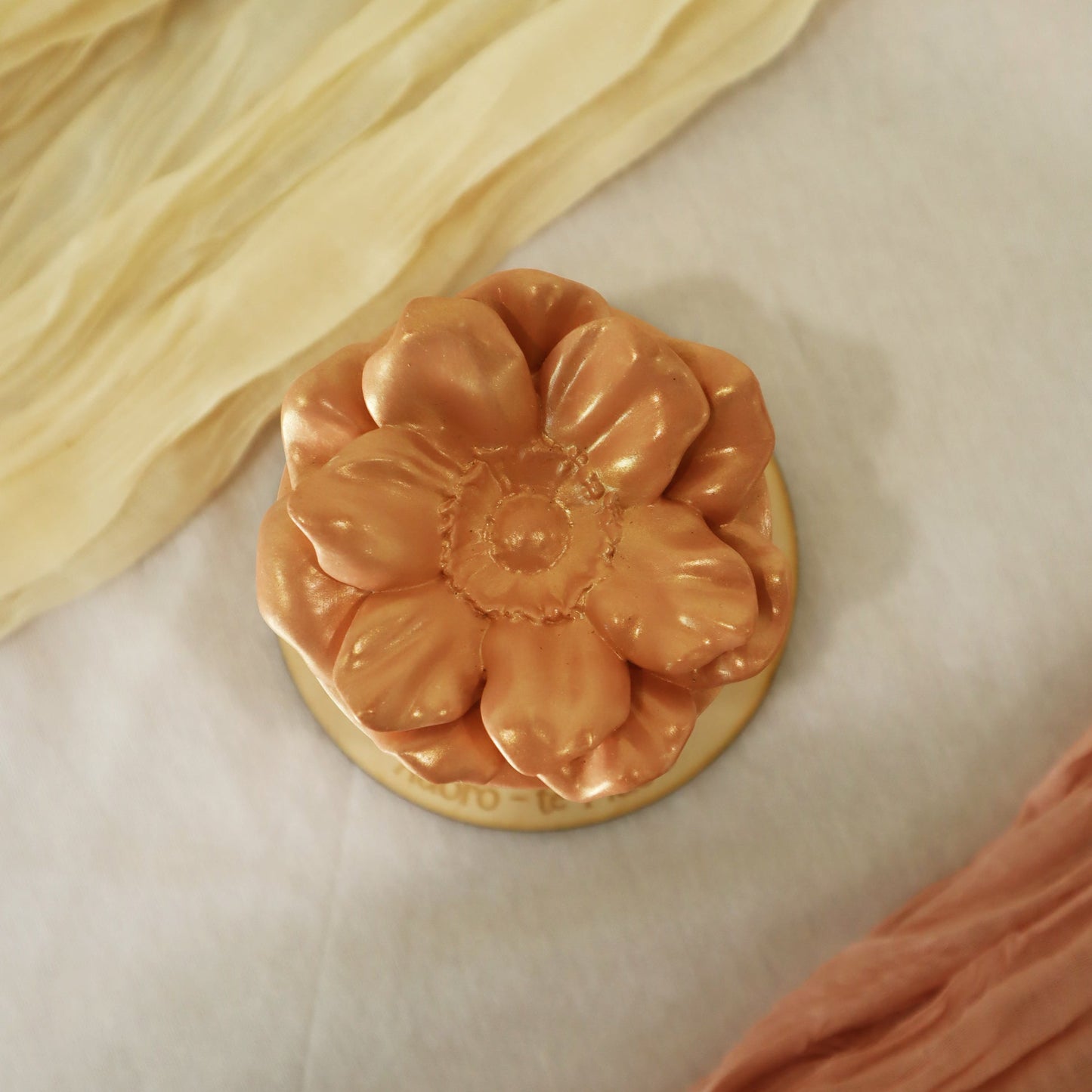 Camellia