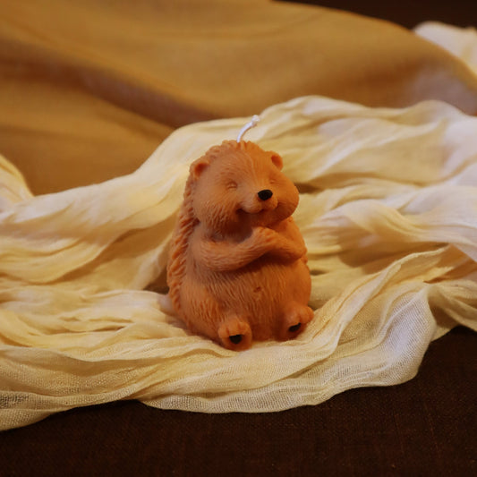 Little Hedgehog