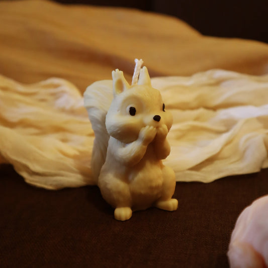 Cute Squirrel