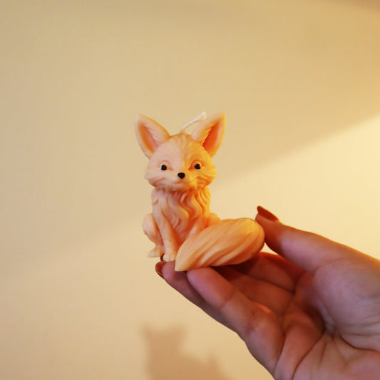 Cozy Fox